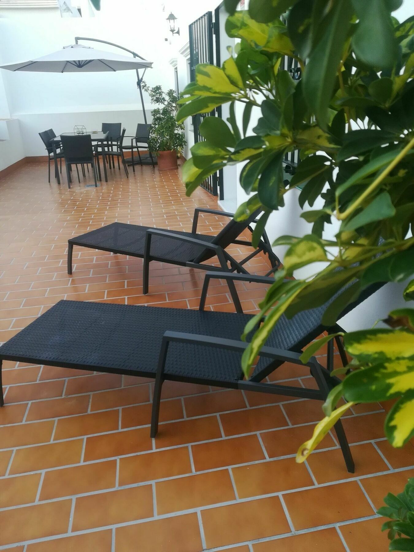 Hostal Boutique Casa La Laja Чиклана-де-ла-Фронтера Экстерьер фото